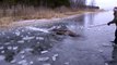 Ces deux hommes aident un élan coincé dans un lac gelé en Suède.