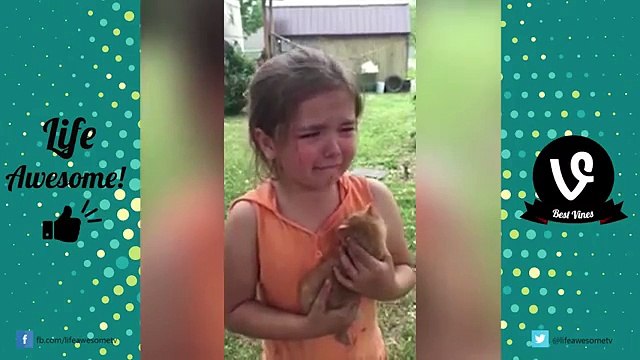 TRY NOT TO LAUGH or GRIN - Funny Cat & Dog Fails Compilation 2016 (DECEMBER) || by Life Awesome