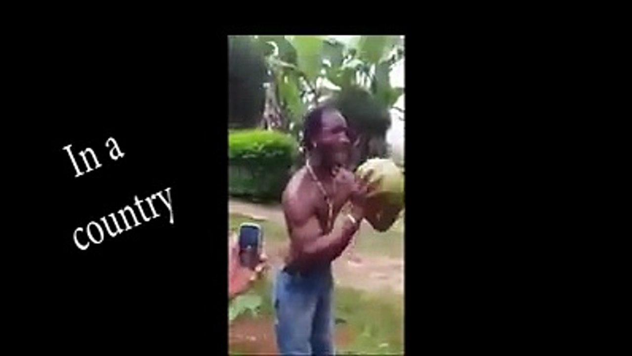 funny video 2017