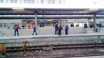 Un chien policier saute sur une femme et la fait tomber sur les rails en Allemagne.