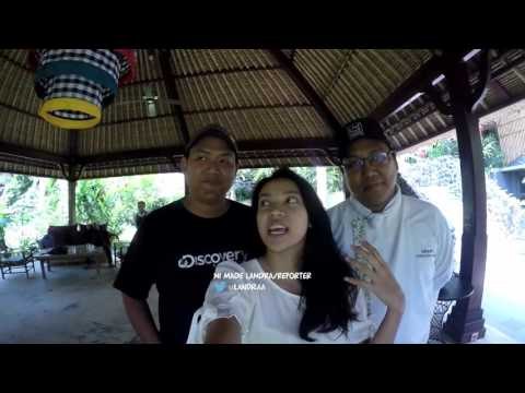 One Day In Gajah Taro - IMS