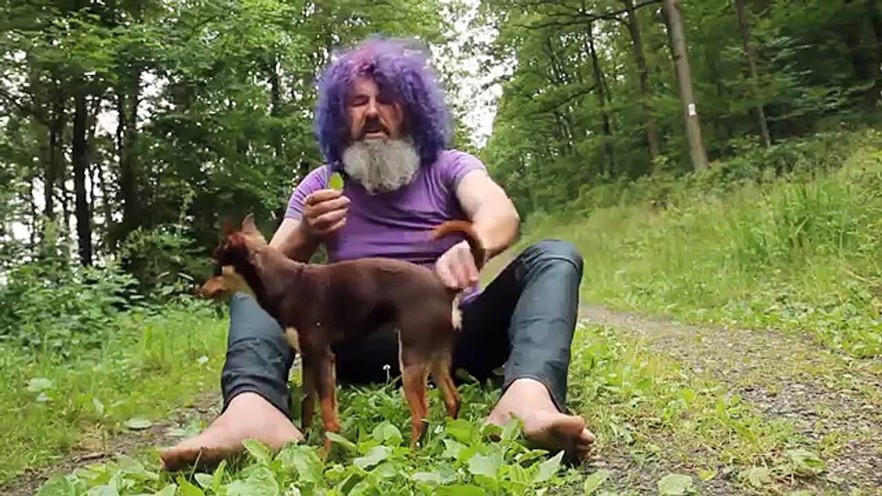 Robert Franz - Kräuter-ABC: Breitwegerich , Spitzwegerich