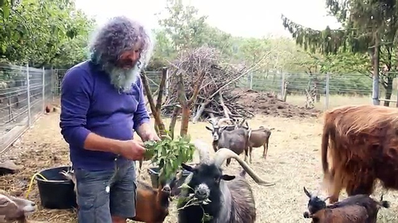 Robert Franz - Kräuter-ABC: Efeu