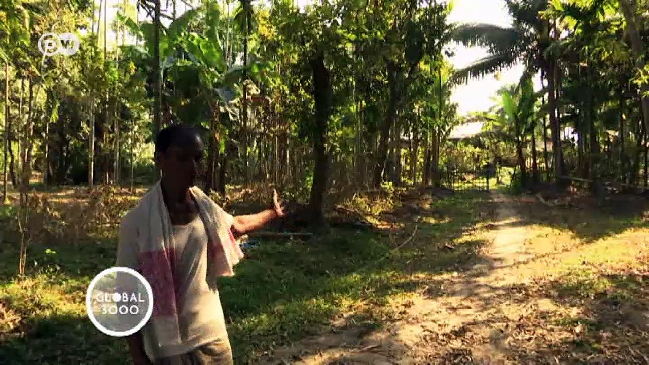 Wo Elefantenbabys für die Freiheit lernen | Global 3000