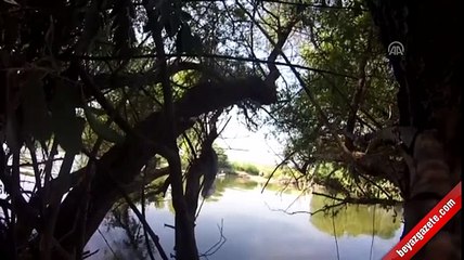 Yunanistan'ın kaçakları Türkiye sınırına bırakması