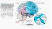 Trading psychology Understanding self awareness (Amplify Trading) 2016