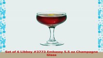 Libbey 3773 Embassy 55 oz Champagne Glass SET OF 6 wbonus FDL picks c85e4464