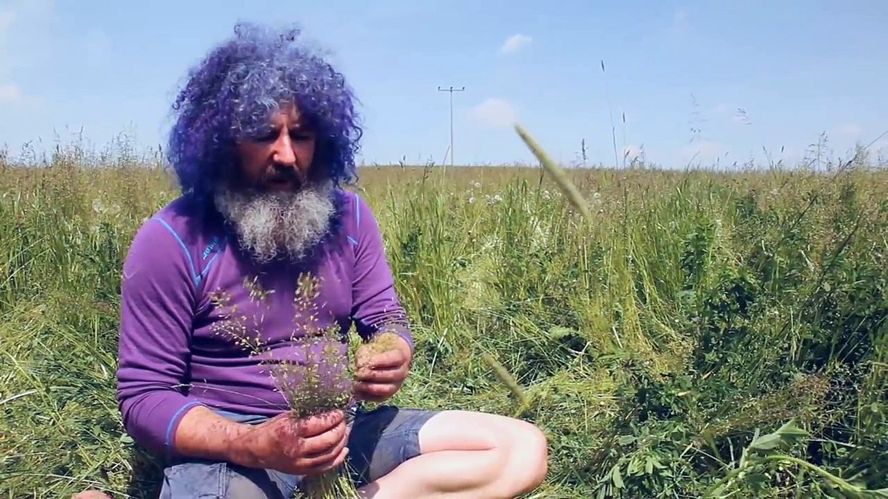 Robert Franz - Kräuter-ABC: Hirtentäschel