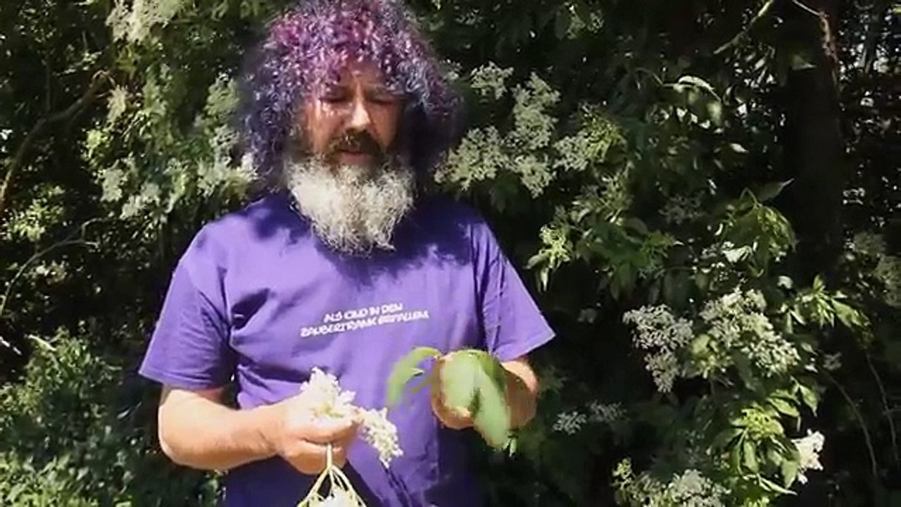 Robert Franz - Kräuter-ABC: Holunder