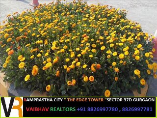 Near Basai sector 37D Ramprastha The EDGE tower Resale Open Call  VR +91 8826997780
