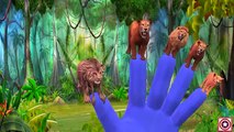 Mega Animals Lollipop Candy Finger Family Songs For Babies | Lion Dinosaurs Finger Family Songs