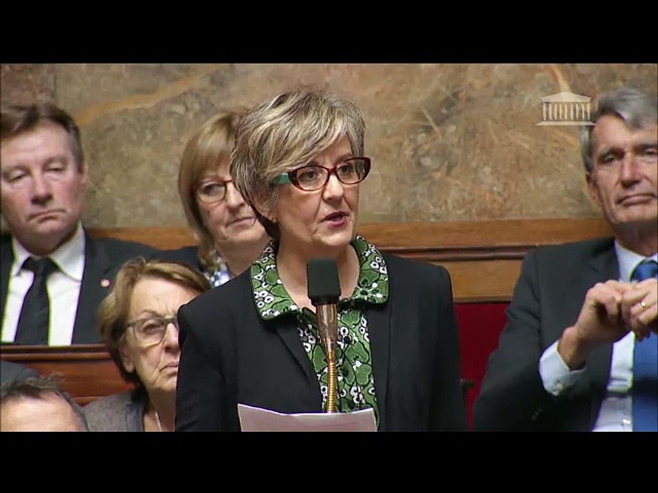 Le zapping des questions au Gouvernement - 01/02/17