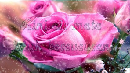 Andy Tielman Layu sebelum berkembang