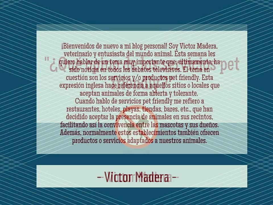 Victor Madera ¿Qué opino de los servicios pet friendly