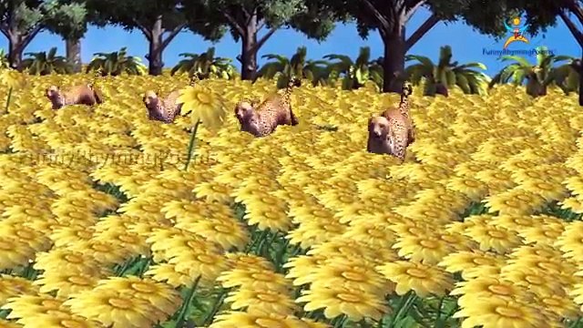 3D животные палец семья nursery детей 3D английский популярные стишки | палец семейные песни