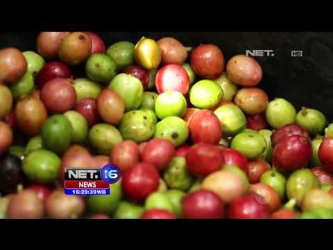 Promo Indonesia Bagus Kopi Robusta Khas Aceh - NET16