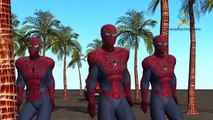 Amazing Spiderman Cartoon Dancing Car and Singing Song For Children Nursery Rhymes
