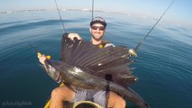 Guy catches giant sailfish in Palm Beach while riding kayak