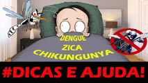 DENGUE ZICA E CHIKUNGUNYA