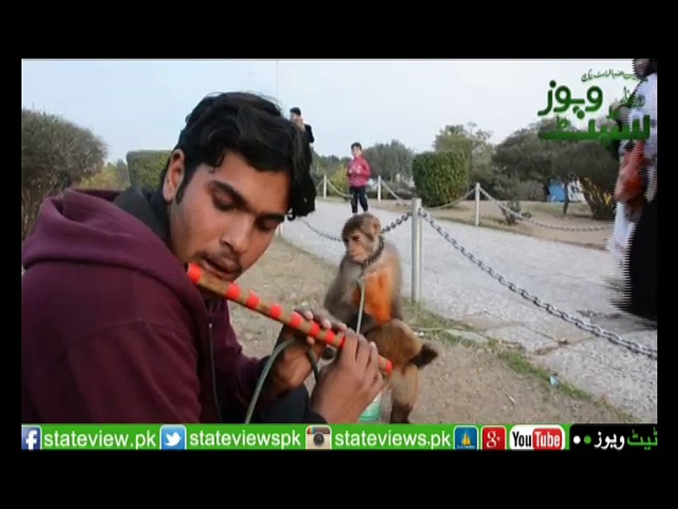 Monky Qawali 02