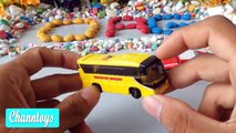 Nice Ford Mustang GTV8 | Hato Bus | Humvee | Tomica Toy Car