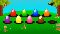 Learning Colors for Children to Learn with Color Surprise Eggs Birds - Animated Nursery Colors