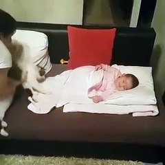 Cette maman sépare son Bébé du chat, seulement l’animal reste déterminé à vouloir choyer l’enfant