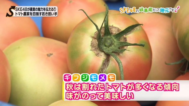 SKE48の岐阜県だって地元ですっ！ 2016年10月5日オンエア「ske48が農業の魅力を伝える（1）jaひだ飛騨地域トマト研修所」