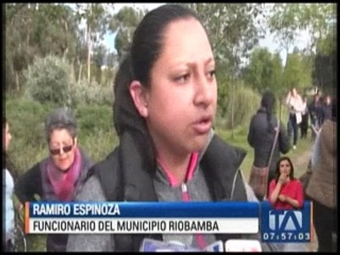 Perros mueren por falta de control veterinario y medicinas en Riobamba