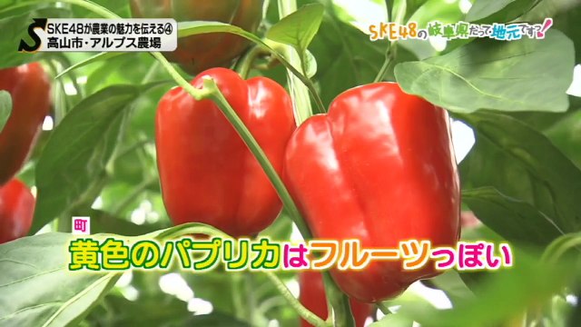 SKE48の岐阜県だって地元ですっ！ 2016年10月26日オンエア「ske48が農業の魅力を伝える（4）高山市・アルプス農場」