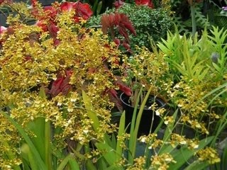 La réunion en musique