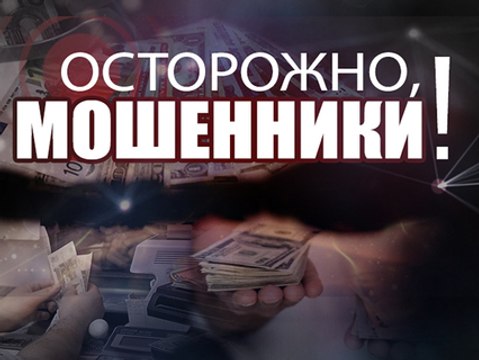 Осторожно, мошенники! Смешные взятки