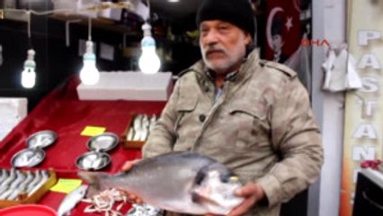 Kastamonu 4 Kiloluk Çupra Tezgahta Ilgi Gördü