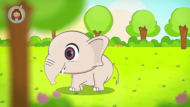 เพลงช้าง | ช้าง ช้าง ช้าง น้องเคยเห็นช้างหรือเปล่า | การ์ตูน เพลงเด็ก by Little Rabbit