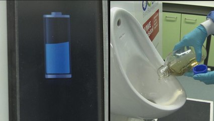L'urine pour recharger son mobile