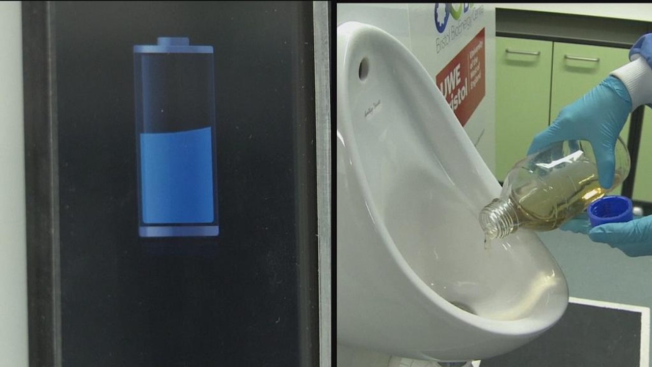 Pinkeln für die Umwelt - So wird aus Urin Strom erzeugt