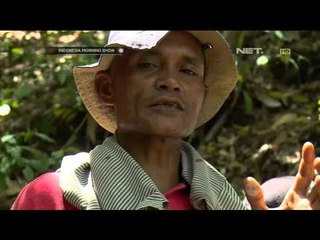 Ikon Febry Madu Sumbawa - IMS