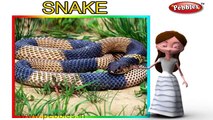 Snake Nursery Rhyme | Animal Rhymes | Nursery Rhymes For Kids | Nursery Rhymes 3D Collection