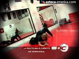 ¡Bando: Arte marcial birmano!