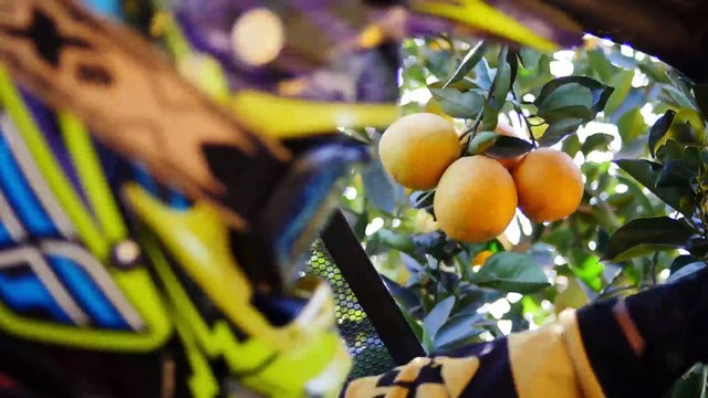 Can-Am Maverick chases the sunset