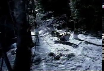 Pubicité marrante pour Budweiser (le cheval qui pète)