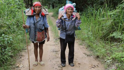 The Journey for Good Tea