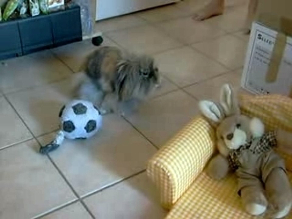 Poupette fait des claquettes