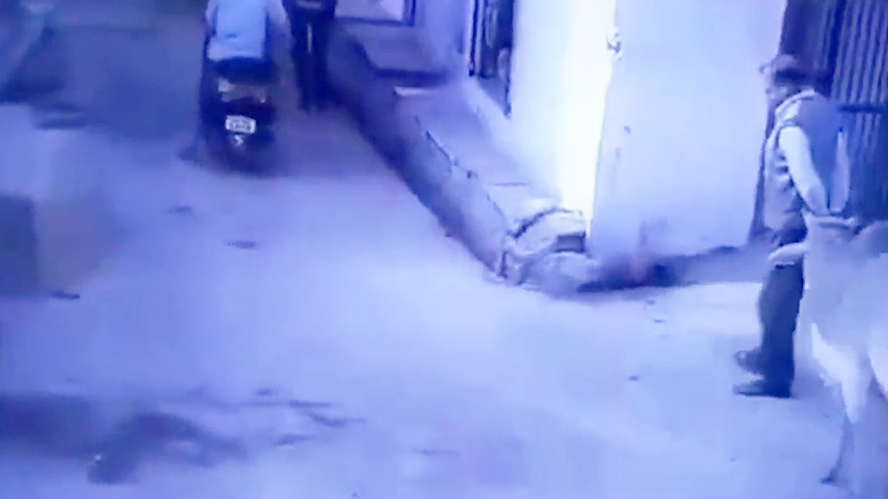 Un homme se fait mettre ko par une vache