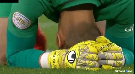 Nicolas De Preville Goal HD - PSG 1-1 Lille 07.02.2017