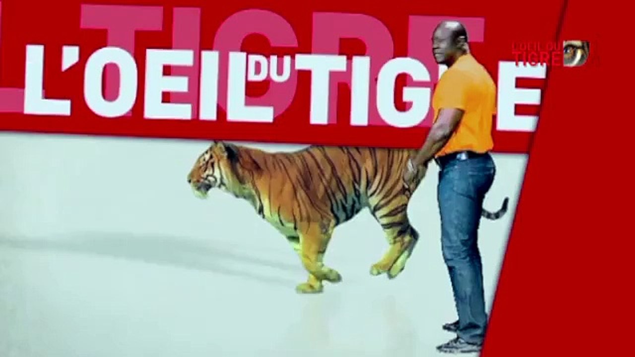 RUBRIQUE METIER avec DOMOU DANGOU - L'Oeil du Tigre - 07 Fevrier 2017