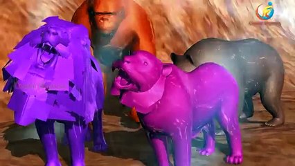 Download Video: Animal Finger Family Colors Lion Bear Gorilla Tiger Cartoons 3D Animation For Children Rhymes