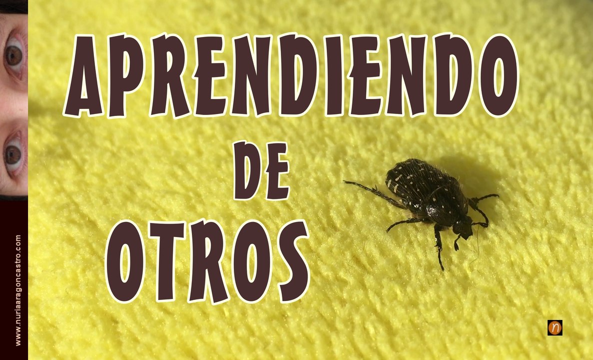 REFLEXIÓN: Aprendiendo de otros