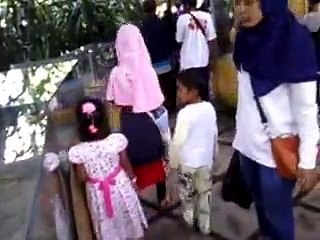 gembira loka lihat ular putih hiiii..... ularnya bulat panjaaaang... lagi...hii..hiii.hii..