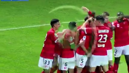 Nîmes Olympique 1 - 0 Chamois Niort 07-02-2017
